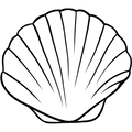 BreezeThin™ Shell